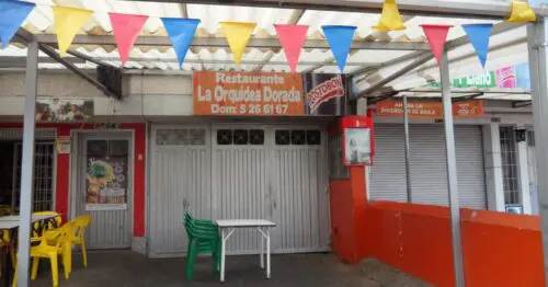 LA ORQUIDEA DORADA LA ORQUIDEA DORADA